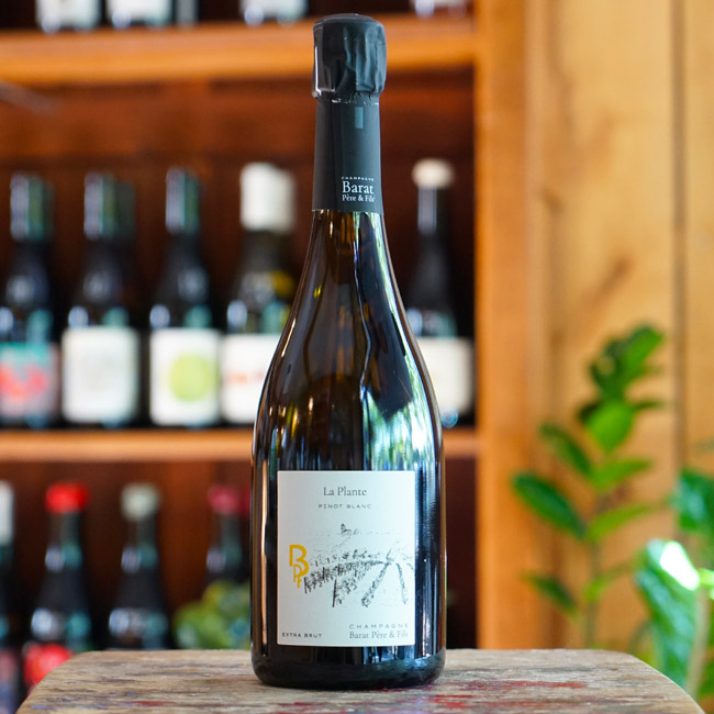La Plante - Champagne Barat