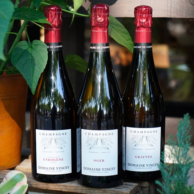 Endogène 2020 - Domaine Vincey