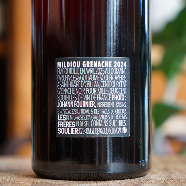 Mildiou Grenache 2024 - Les Frères Souliers