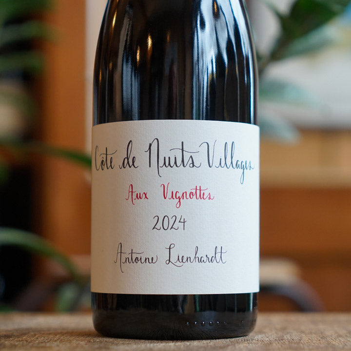 Côte de Nuits Villages "Aux Vignottes" 2024 - Antoine Lienhardt