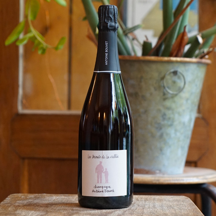 Les Monts de la Vallée Rosé - Antoine Bouvet