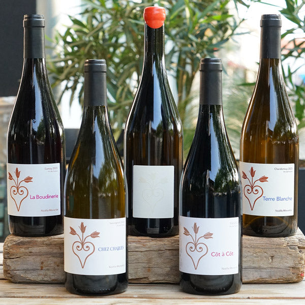 Terre Blanche 2023 - Noëlla Morantin