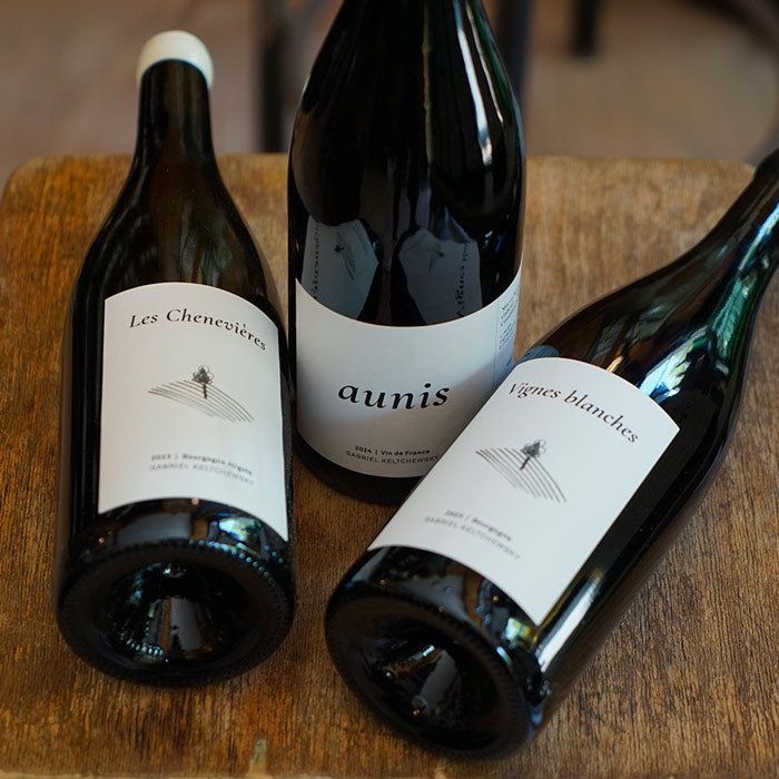 Pineau d'Aunis 2024 - Gabriel Keltchewsky