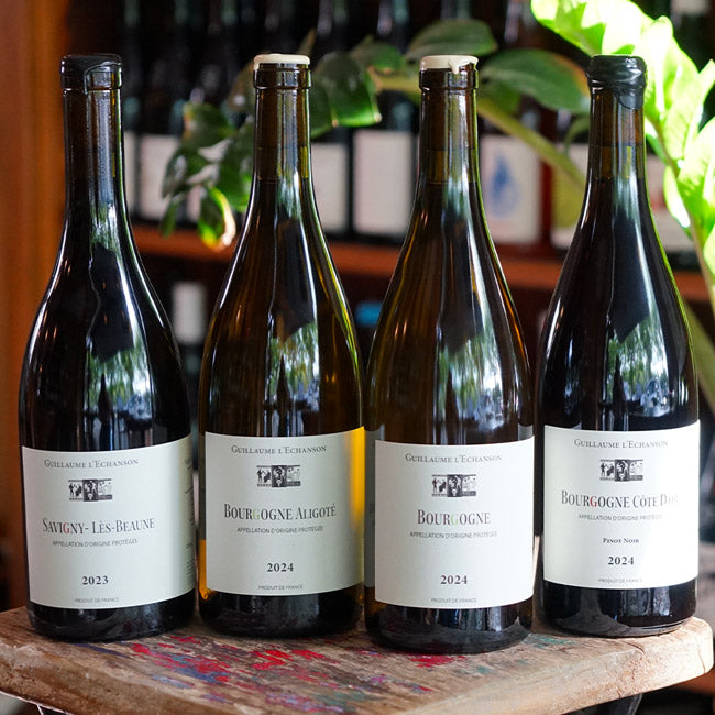 Savigny les Beaune Rouge 2023 - Guillaume l'Echanson