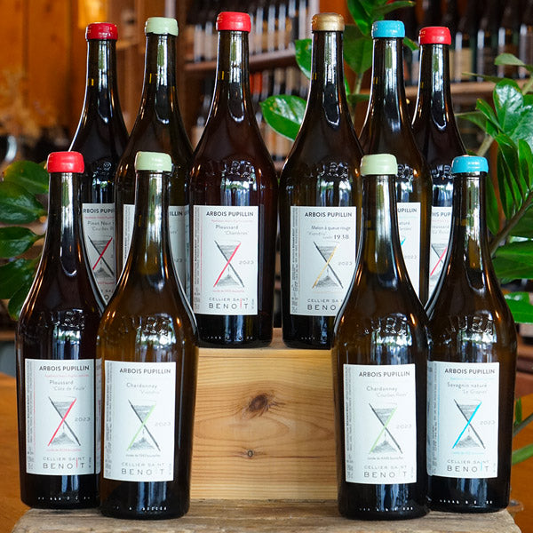 Chardonnay "Viandris" 2023 Élevage 30 mois - Cellier Saint Benoit
