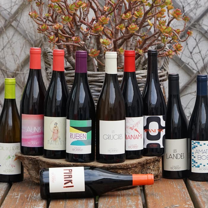 Les Gruches 2021 - Domaine Bobinet