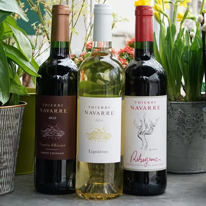 Cuvée Olivier 2022 - Domaine Navarre