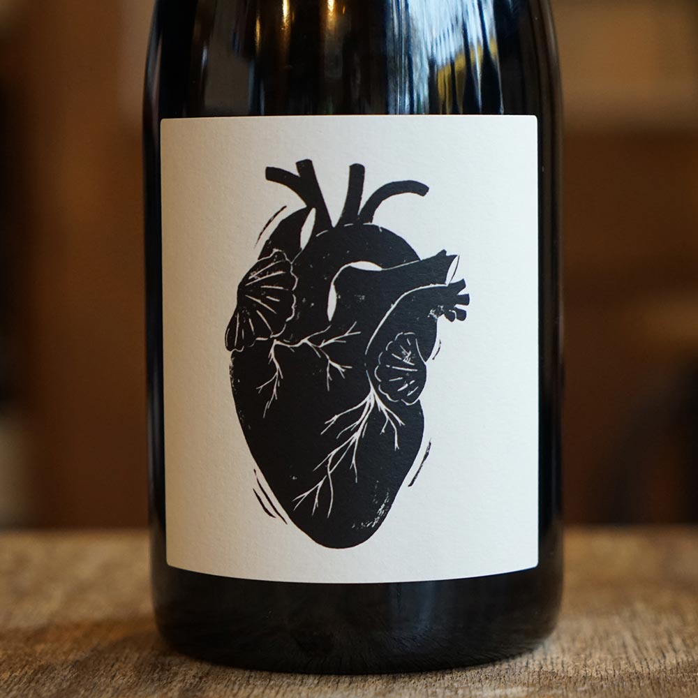 Amour Vache 2024 - Vin Noé