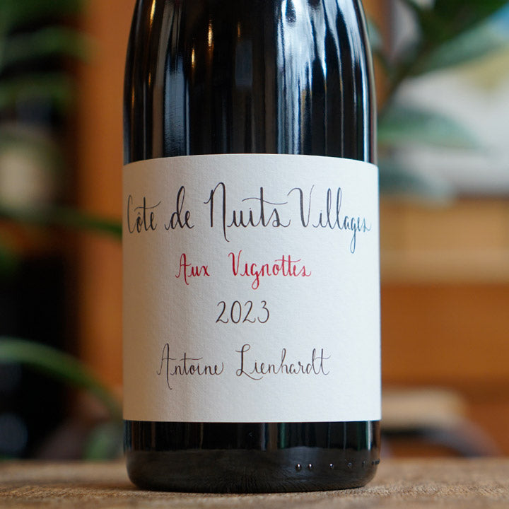 Côte de Nuits Villages "Aux Vignottes" 2023 - Antoine Lienhardt