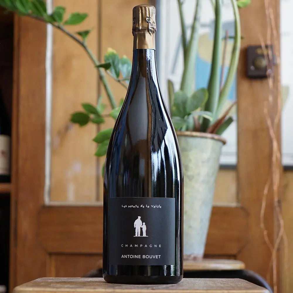 Les Monts de la Vallée Magnum - Antoine Bouvet