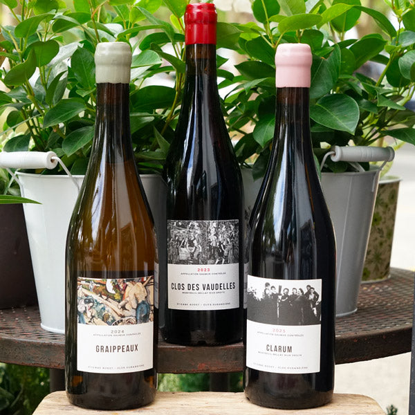 Clos des Vaudelles 2023 - Etienne Bodet