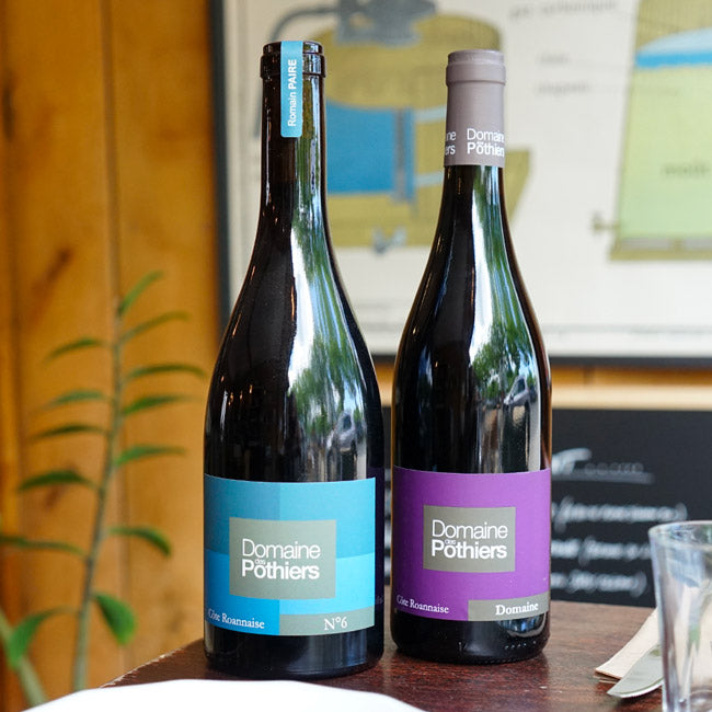 Domaine Rouge 2023 - Domaine des Pothiers