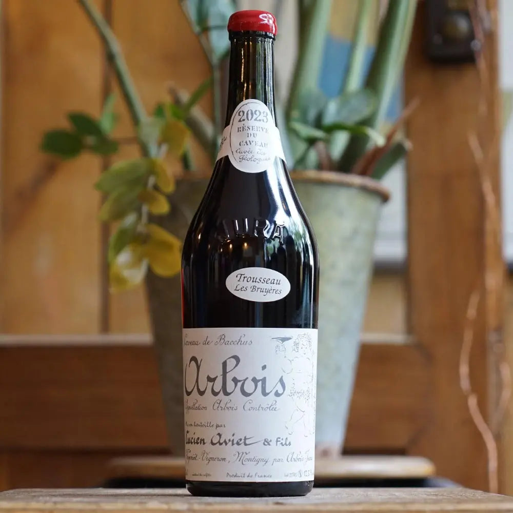 Trousseau Bruyères "Cuvée des Géologues" 2023 - Lucien Aviet