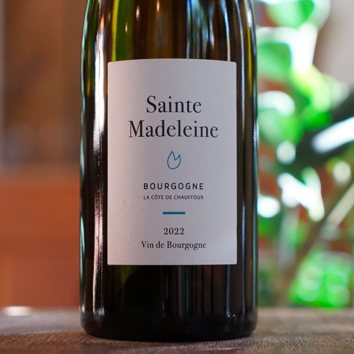 Bourgogne Blanc 2022 - Sainte Madeleine