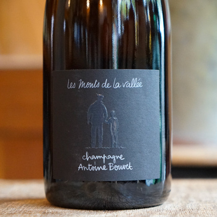 Les Monts de la Vallée - Antoine Bouvet