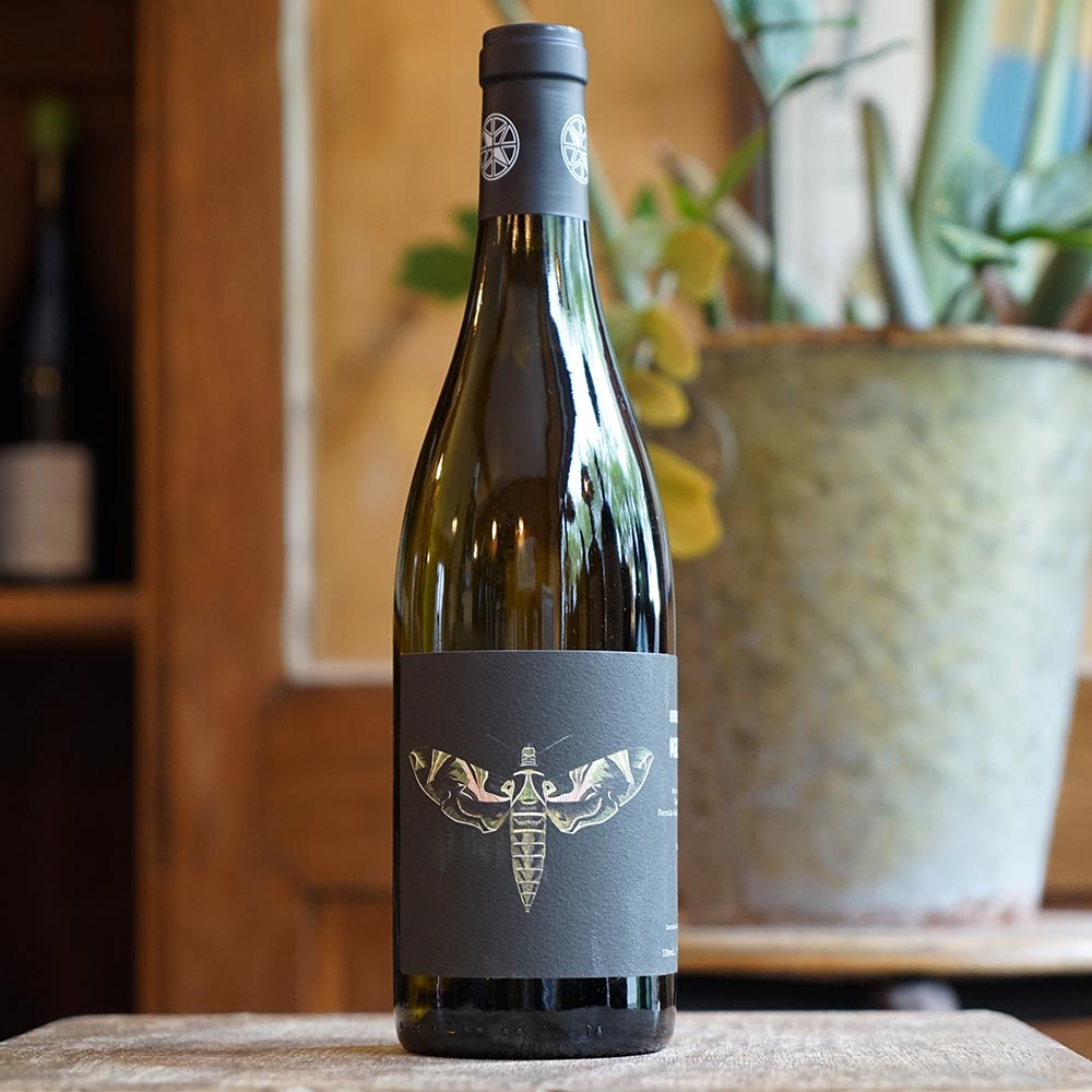 Maccabeu 2023 - Domaine Ledogar
