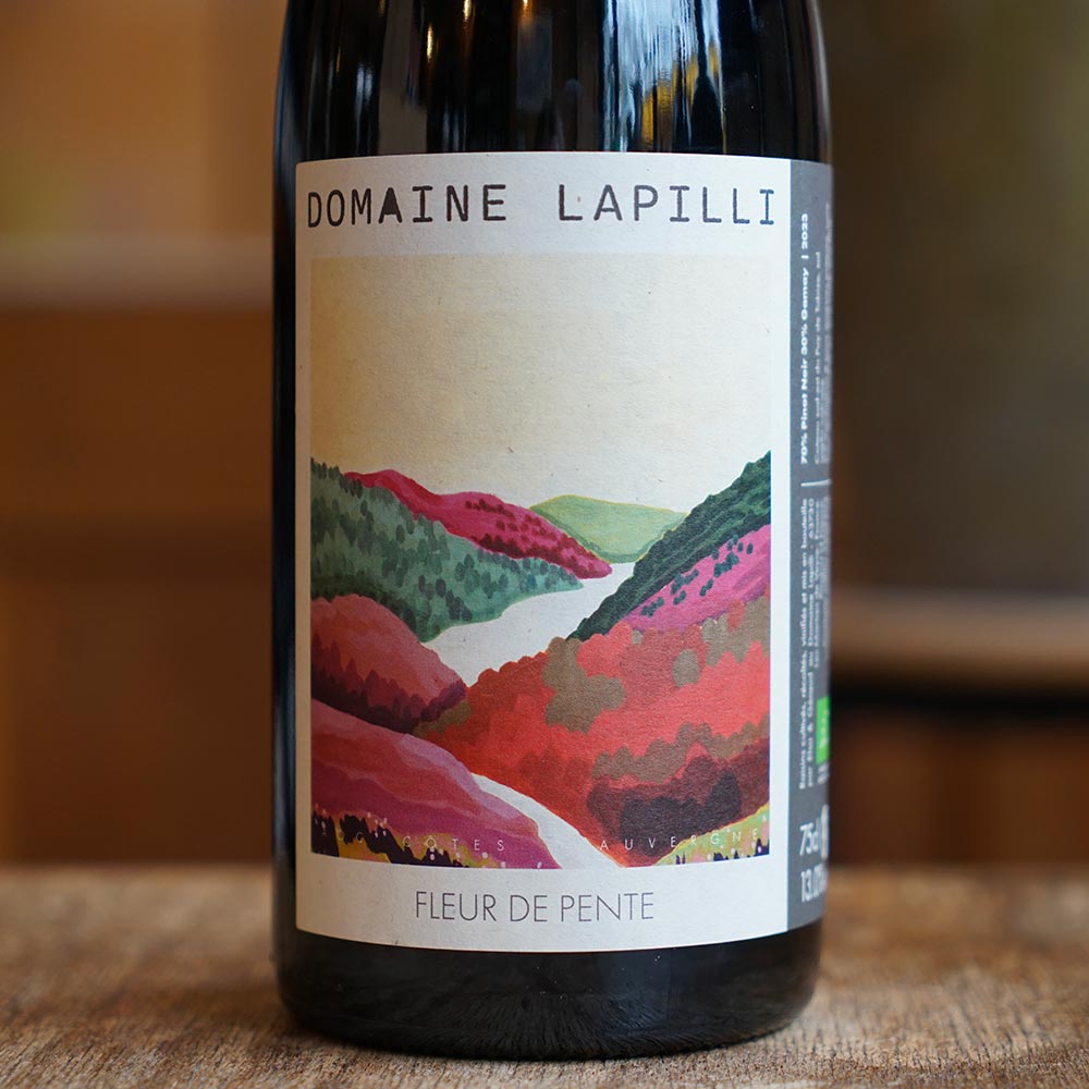 Fleur de Pente 2024 - Domaine Lapilli