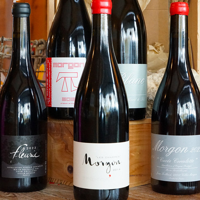Morgon Eponyme 2014 - Jean Foillard