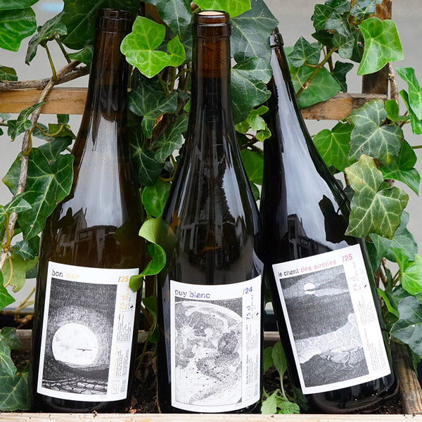 Puy Blanc 2024 - Félix Guillonneau