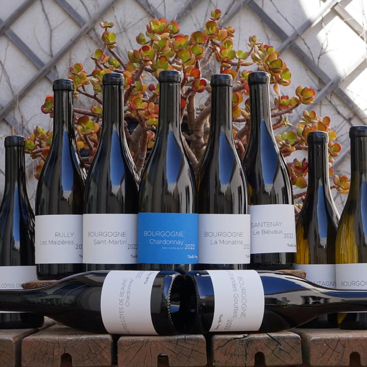 Pommard Les Vignots 2022 - Marthe Henry