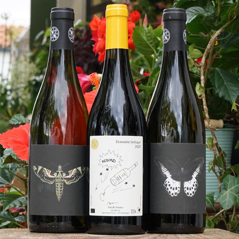 Carignan Blanc 2022 - Domaine Ledogar