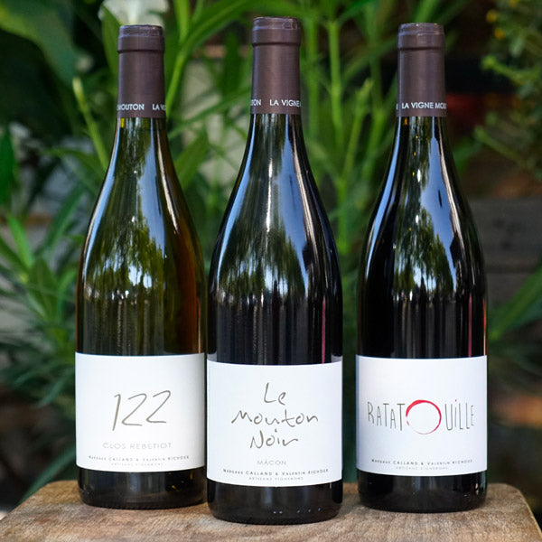 Mâcon Bray Blanc Clos Rebetiot "122" 2022 - La Vigne Mouton
