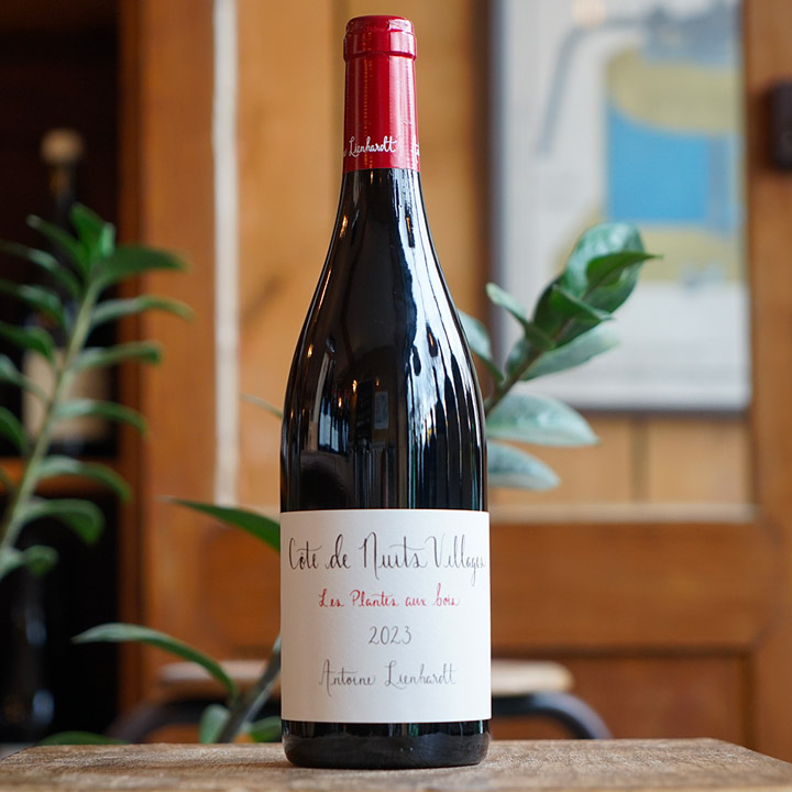 Côte de Nuits Villages "La Plante Aux Bois" 2024 - Antoine Lienhardt