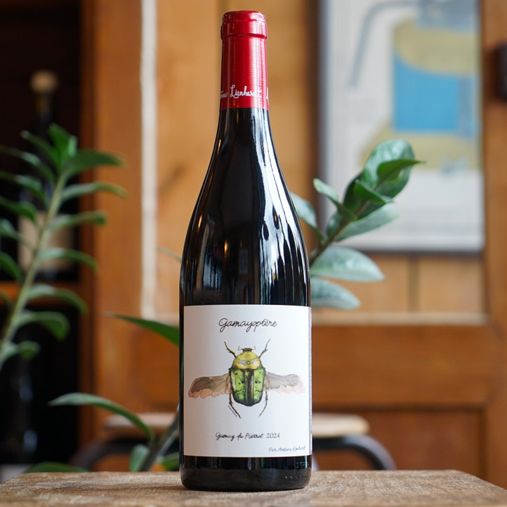 Côteaux Bourguignons Rouge "Gamayoptère" 2024 - Antoine Lienhardt