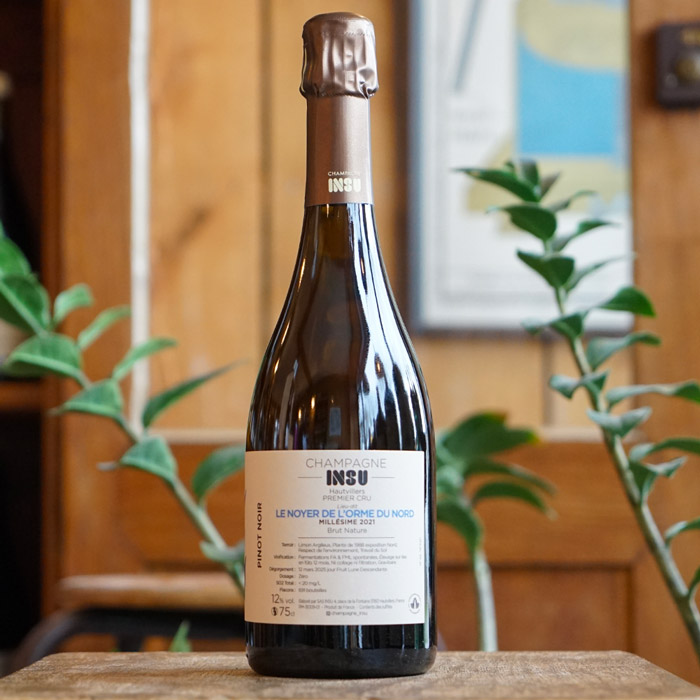 Champagne 1er Cru Hautvillers "Le Noyer de l'Orme du Nord" 2021 - Champagne INSU