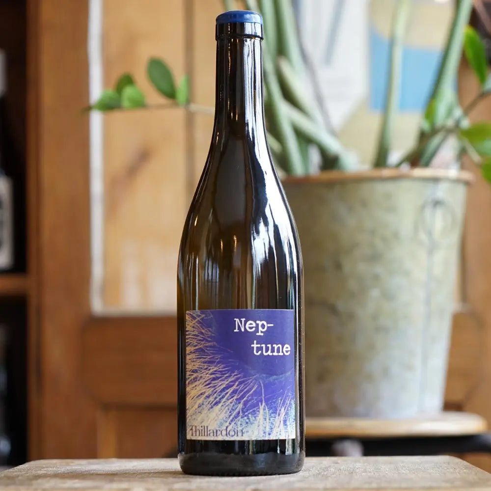 Neptune 2022 - Domaine Thillardon