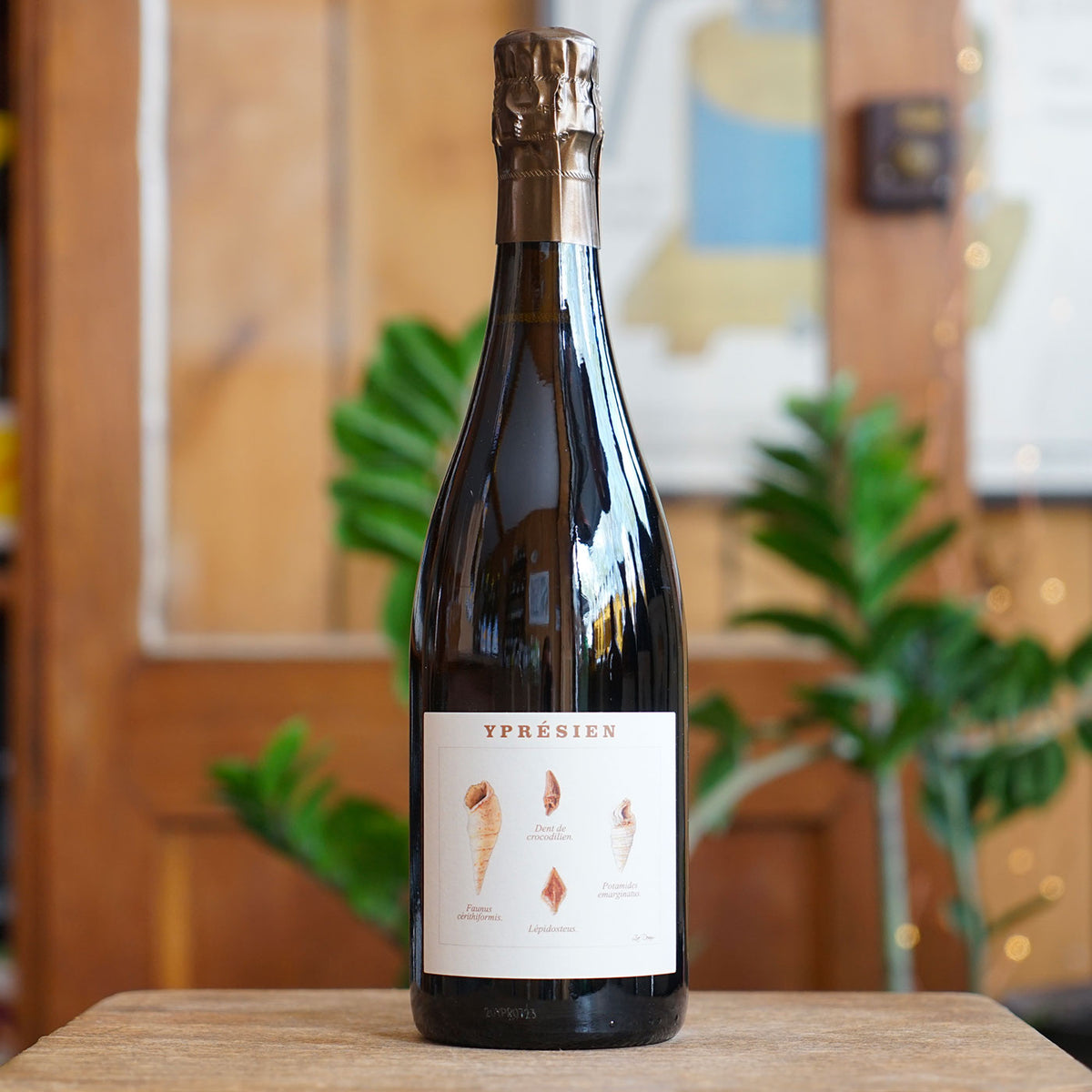 Ypresien R19 - Champagne Legrand-Latour
