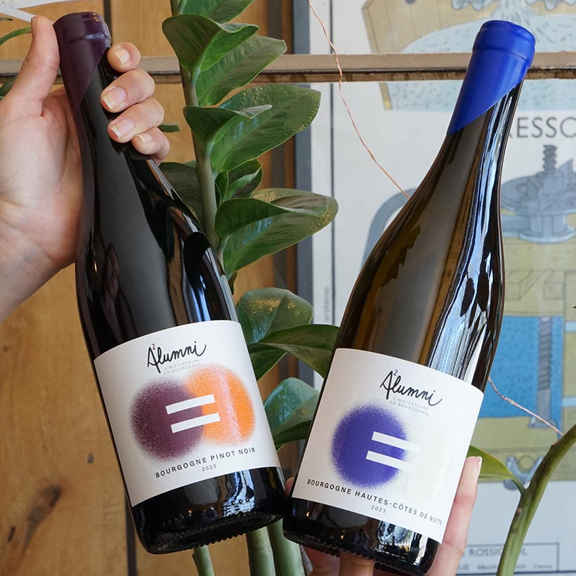Pinot Noir 2023 - Maison Alumni