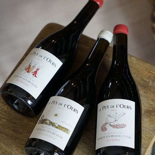Côte de Beaune Blanc Les Monsnières - Domaine Puy de l'Ours