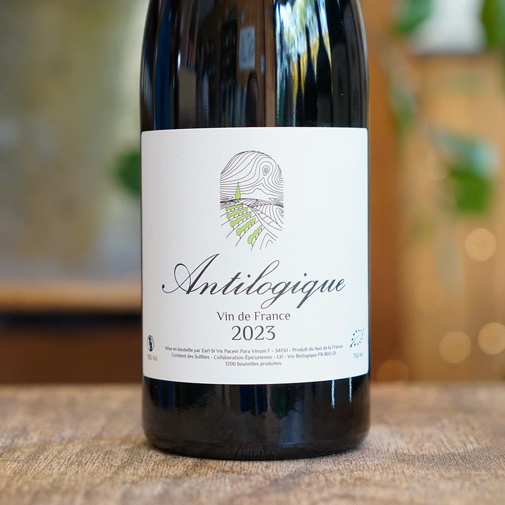 Antilogique 2024 - Benjamin Anglade