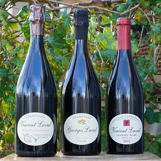 "Les vignes de mon Oncle" Cumières 1er Cru - Georges Laval