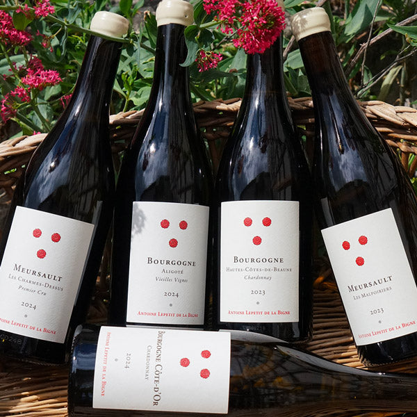 Meursault 1er Cru "Les Charmes-Dessus" 2024 - Antoine Lepetit de la Bigne