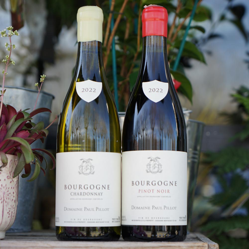 Bourgogne Pinot Noir 2022 - Paul Pillot