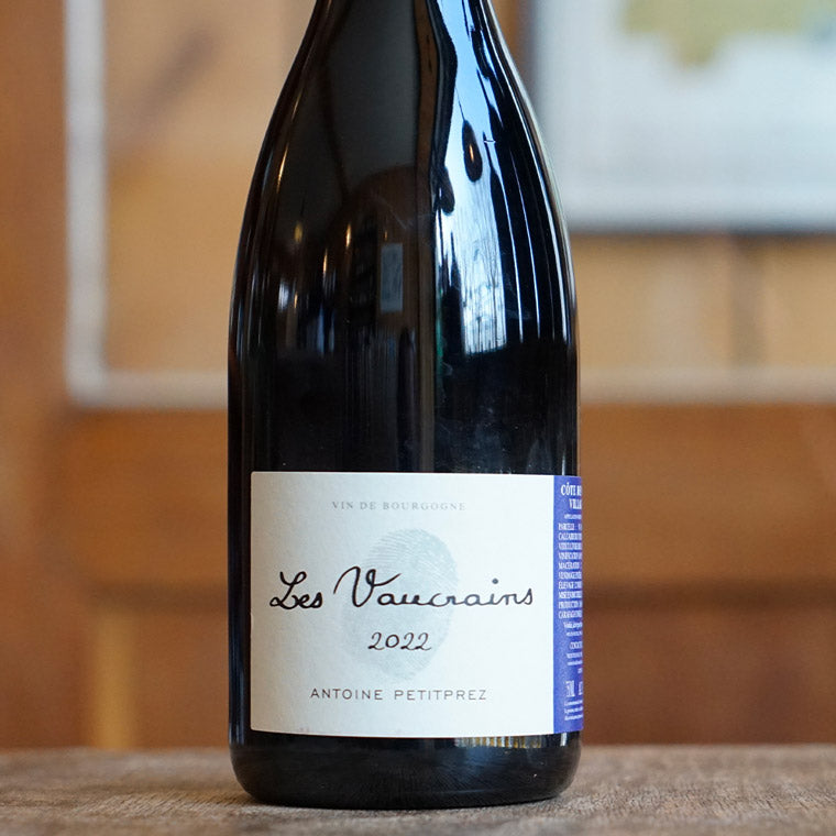 Côte de Nuits Village Rouge 2022 - Antoine Petitprez