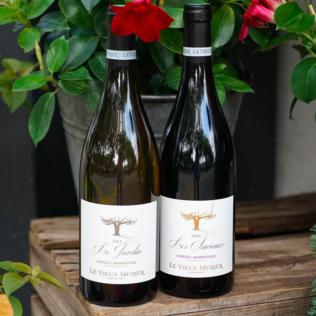 Crozes-Hermitage Blanc "Le Jardin" 2024 - Le Vieux Mûrier