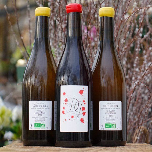 Chardonnay Grusse 2023 - Damien Guadagnolo