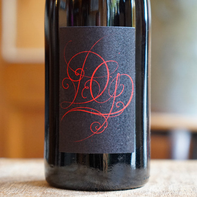 Gamay 2023 - Damien Guadagnolo