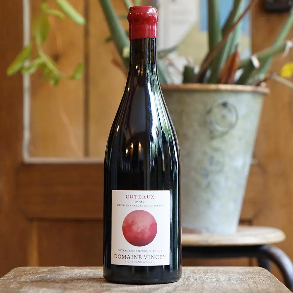 Coteaux Rouge 2022 Meunier de Mareuil - Domaine Vincey