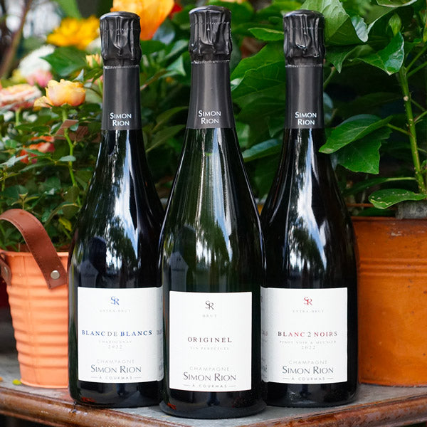 Blanc de Blancs 2022 - Champagne Simon Rion