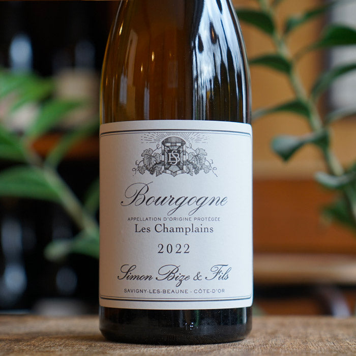 Bourgogne Blanc "Les Champlains" 2022 - Simon Bize