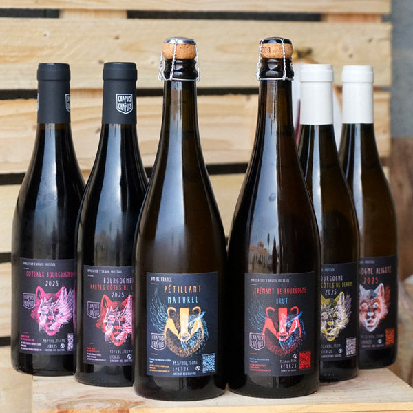 Coteaux Bourguignons Rouge 2025 - Chapuis & Chapuis