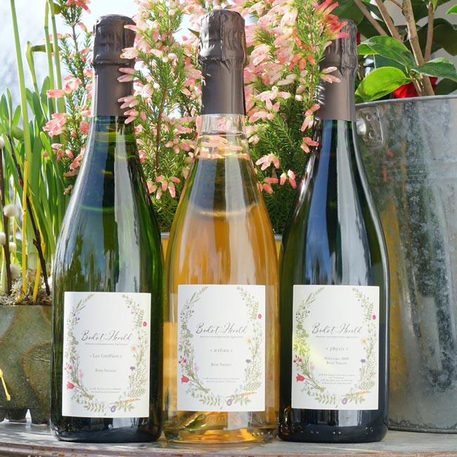 Crémant de Loire Physis 2019 - Maison Bodet Herold