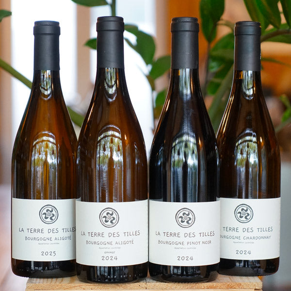 Bourgogne Pinot Noir 2024 - La Terre des Tilles