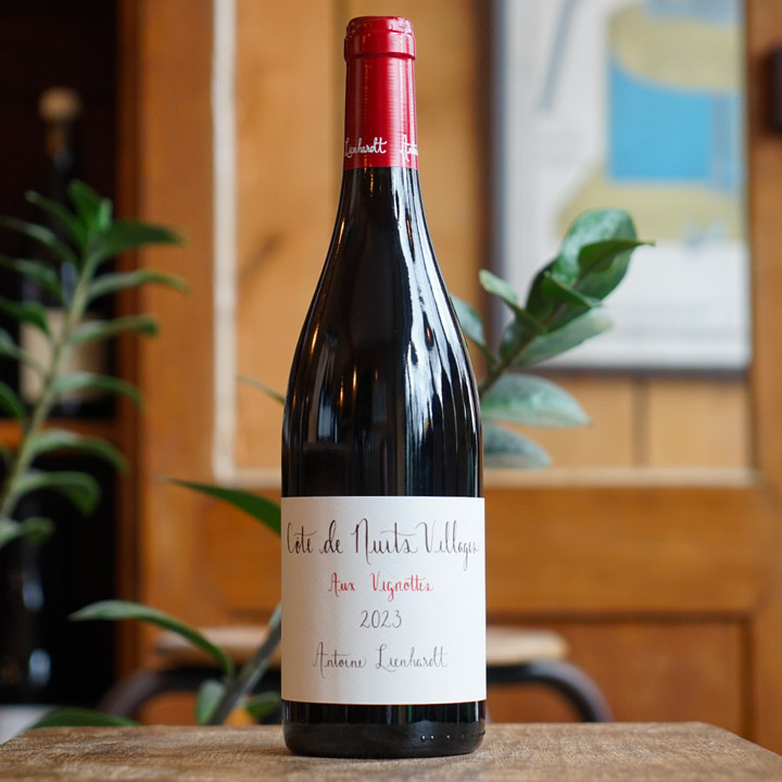 Côte de Nuits Villages "Aux Vignottes" 2024 - Antoine Lienhardt