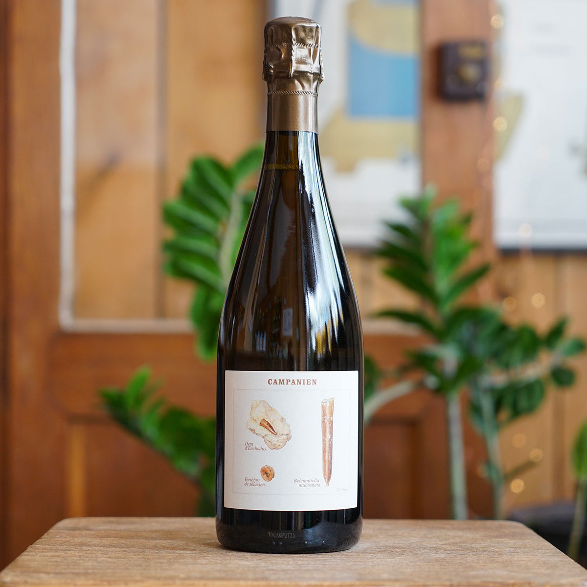 Campanian R19 - Champagne Legrand-Latour