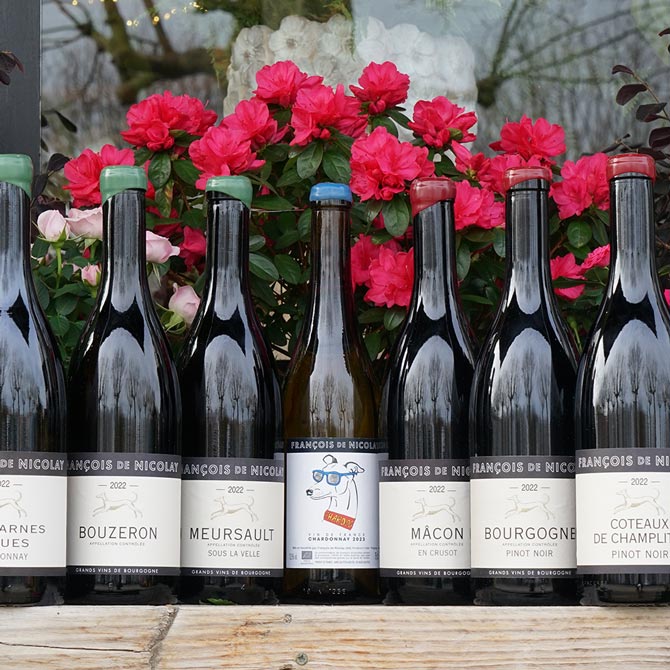 Coteaux de Champlitte Pinot Noir 2022 - François de Nicolay